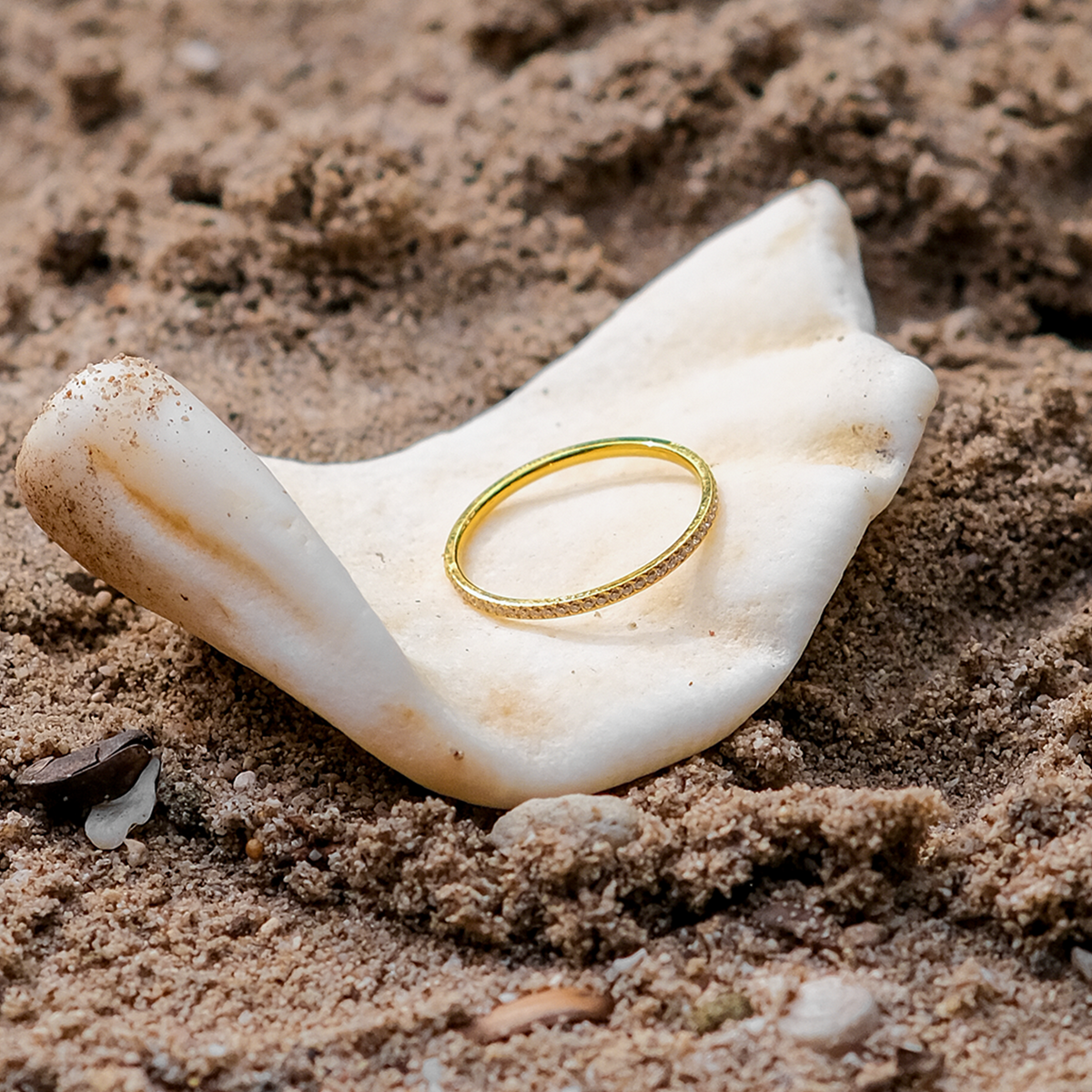 Zarra Paved Gold Ring - Joie d’Or